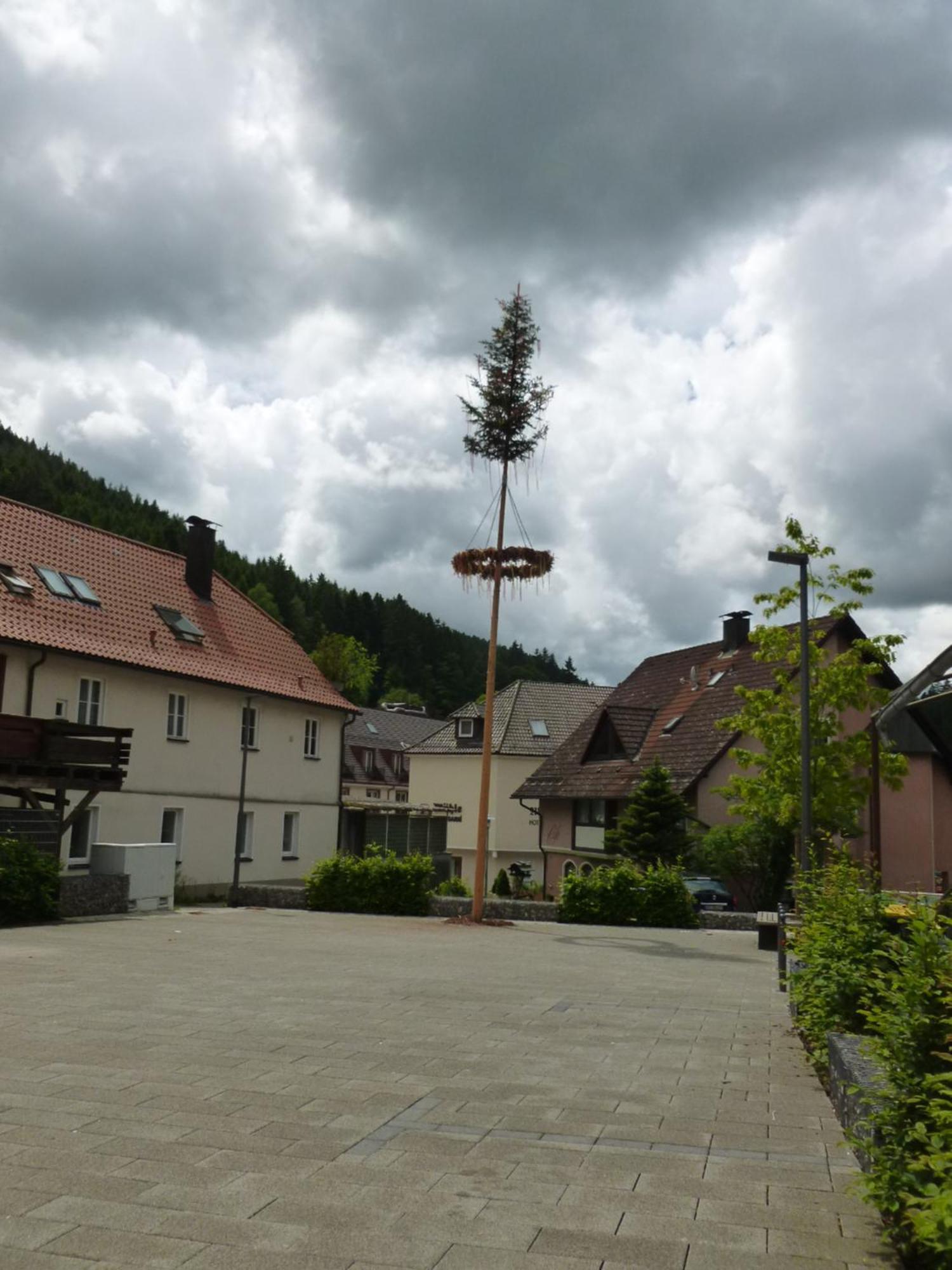 Gasthaus Waldhorn Ξενοδοχείο Bad Teinach-Zavelstein Εξωτερικό φωτογραφία